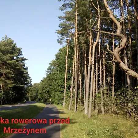 Apartment Przytulny - Podczele